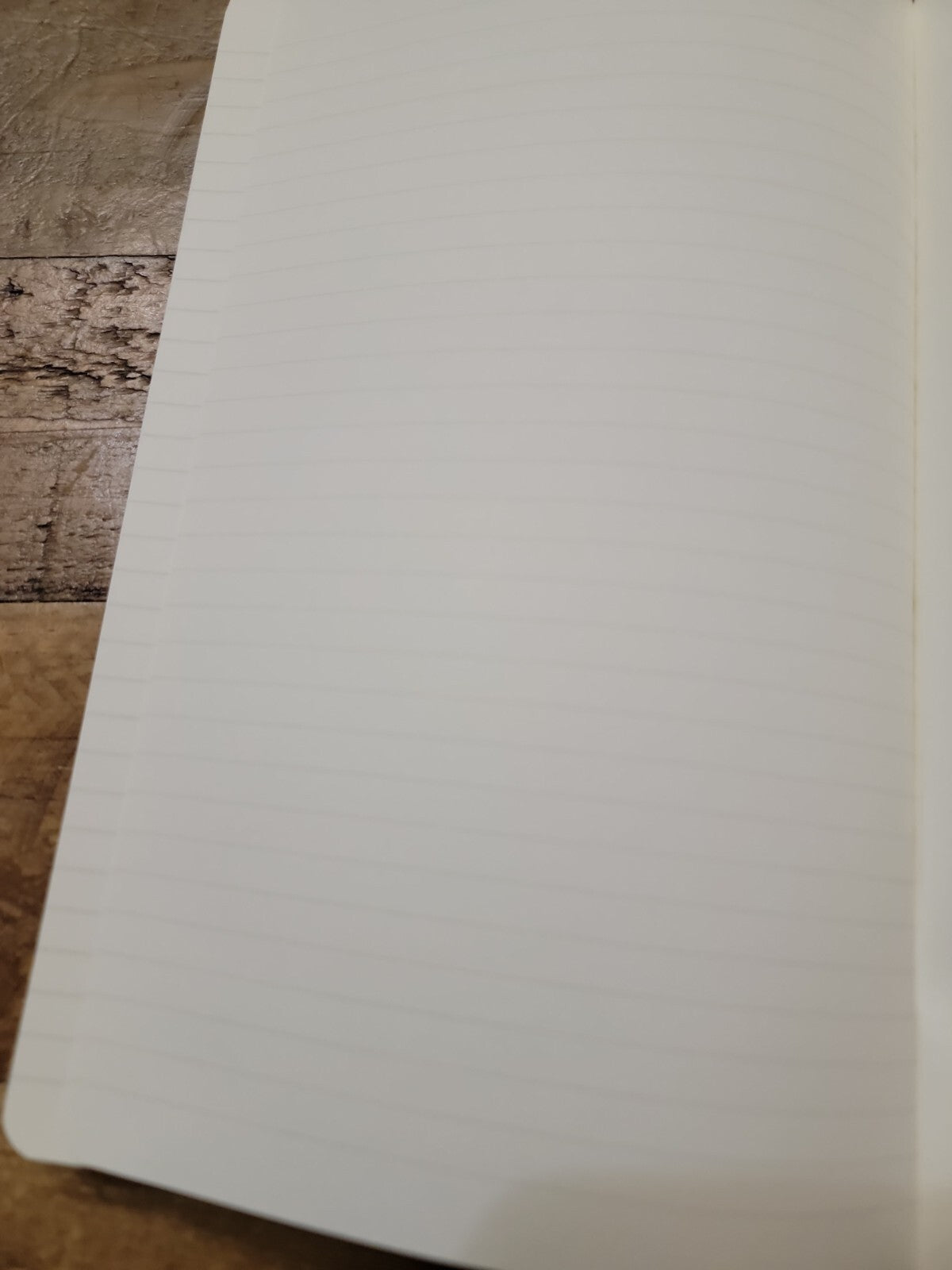Moleskine Classic Hardcover journal custom UV printed fantasy fairy dragon
