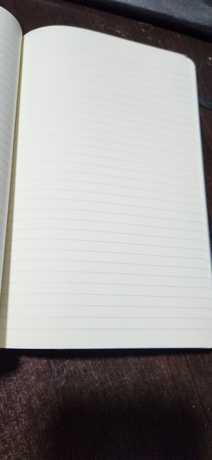 Moleskine Journal – Stunning 3D UV Printed Celestial Moon & Butterfly Design