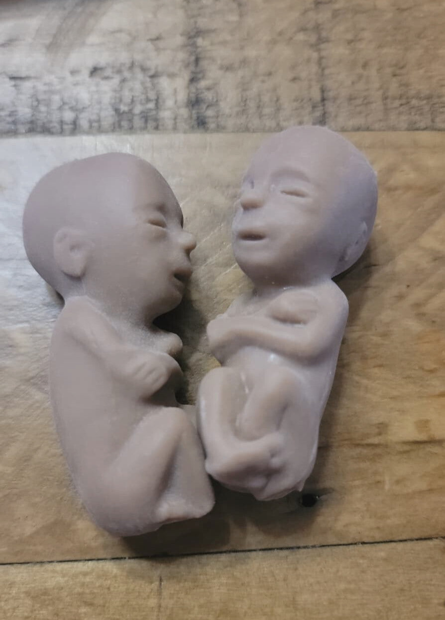 Heritage House '76, 12 Weeks Fetal Model, Precious One, 50 pk Dark Skin Tone