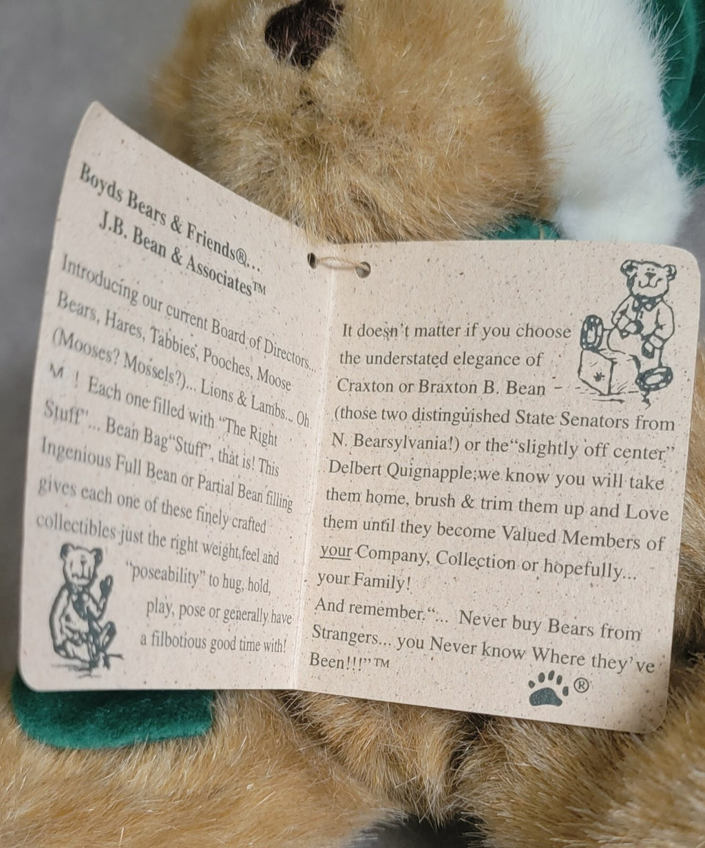 Boyds Bears Plush "C.Z. Comet" teddy bear Christmas star green scarf & hat