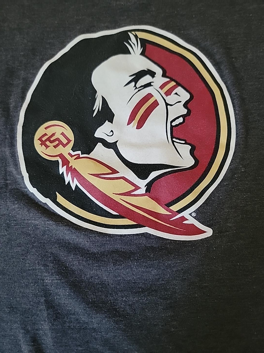 Florida State Seminoles Fanatics Women’s T-Shirt Medium Gray V-Neck FSU Logo