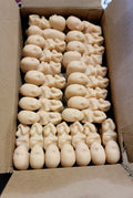 Heritage House '76, Inc. Fetal Model, Precious One, 50 pk Light Skin Tone