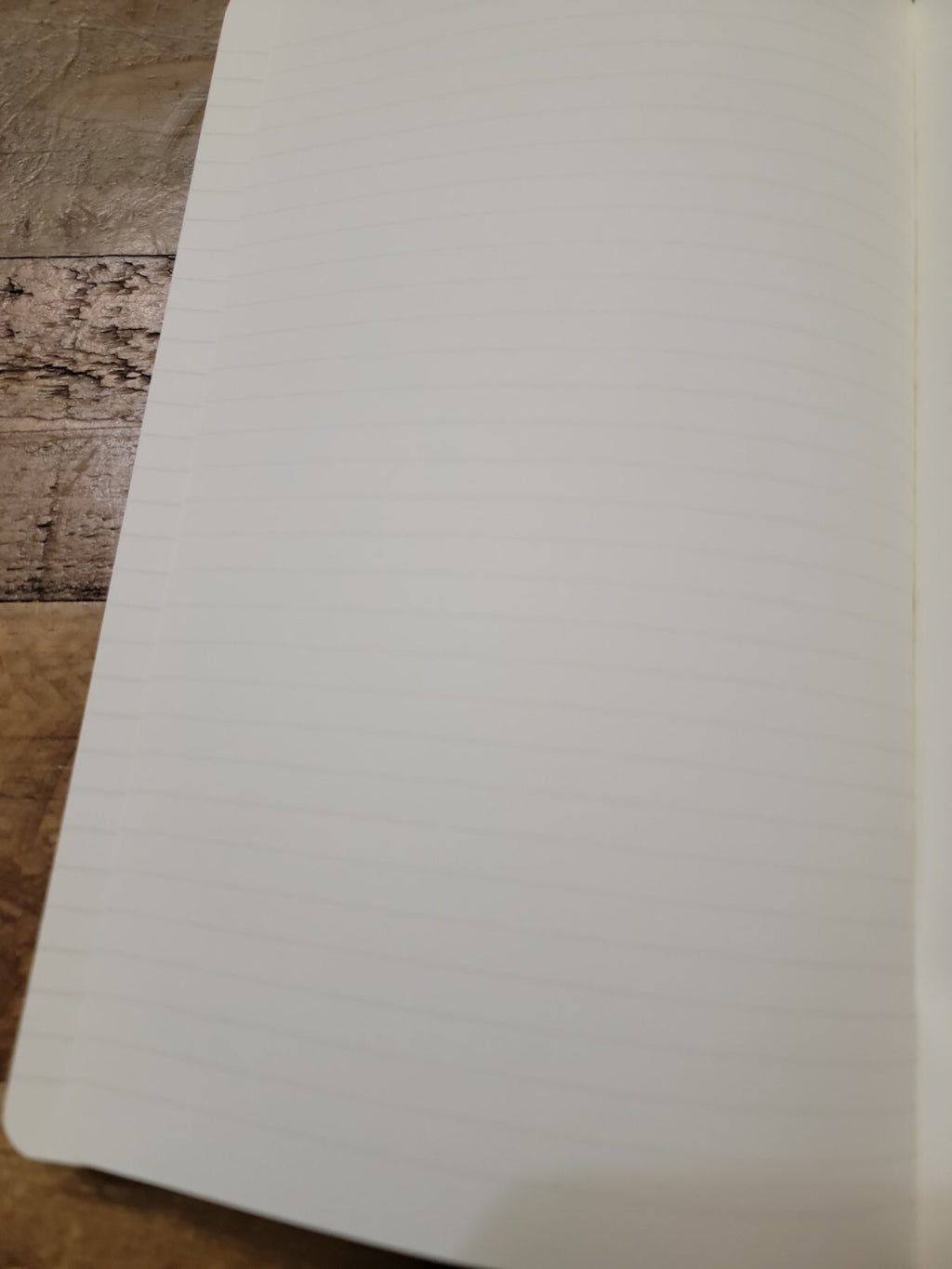 Moleskine Classic Hardcover Journal Custom UV Printed Fantasy Fairy Dragon