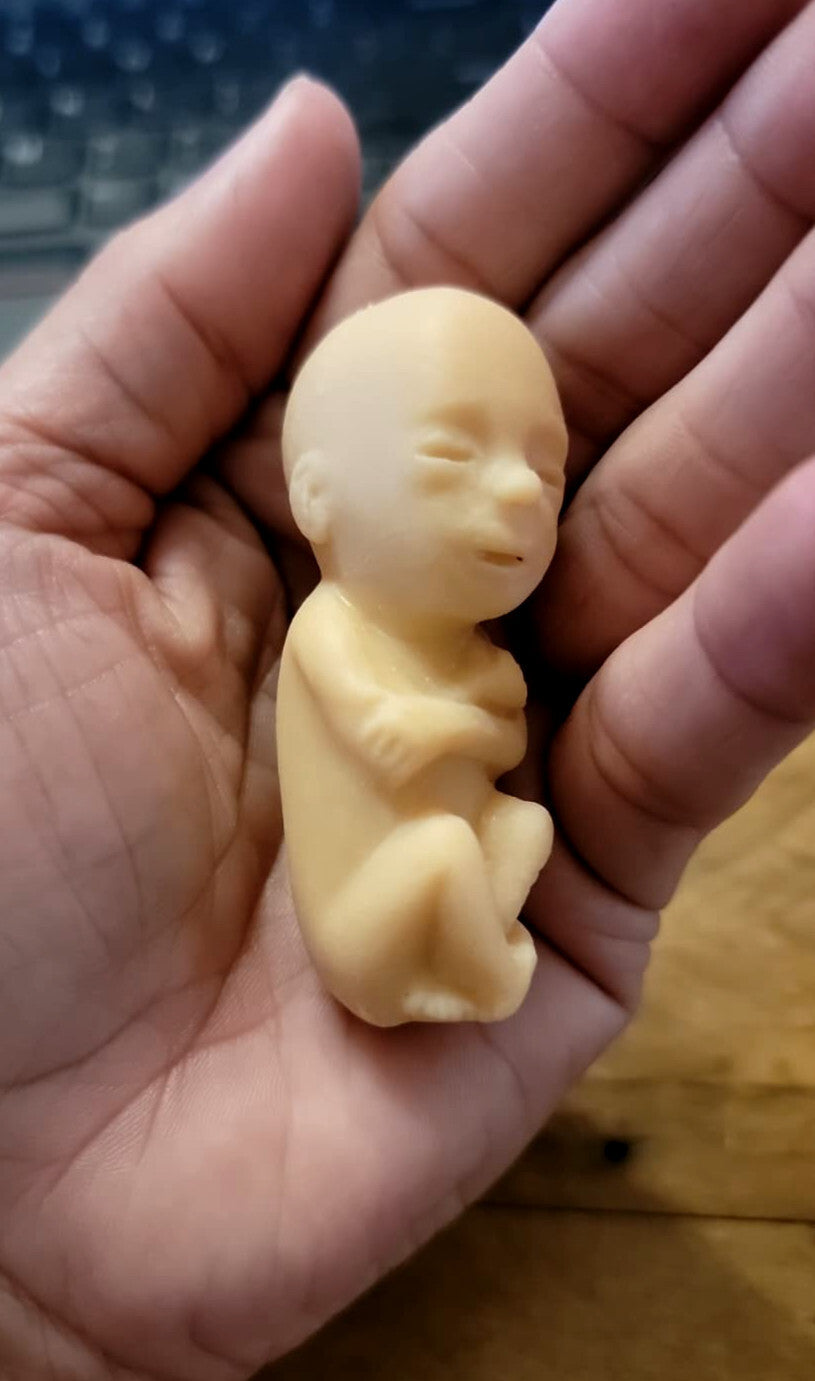 Heritage House '76, Inc. Fetal Model, Precious One, 50 pk Light Skin Tone
