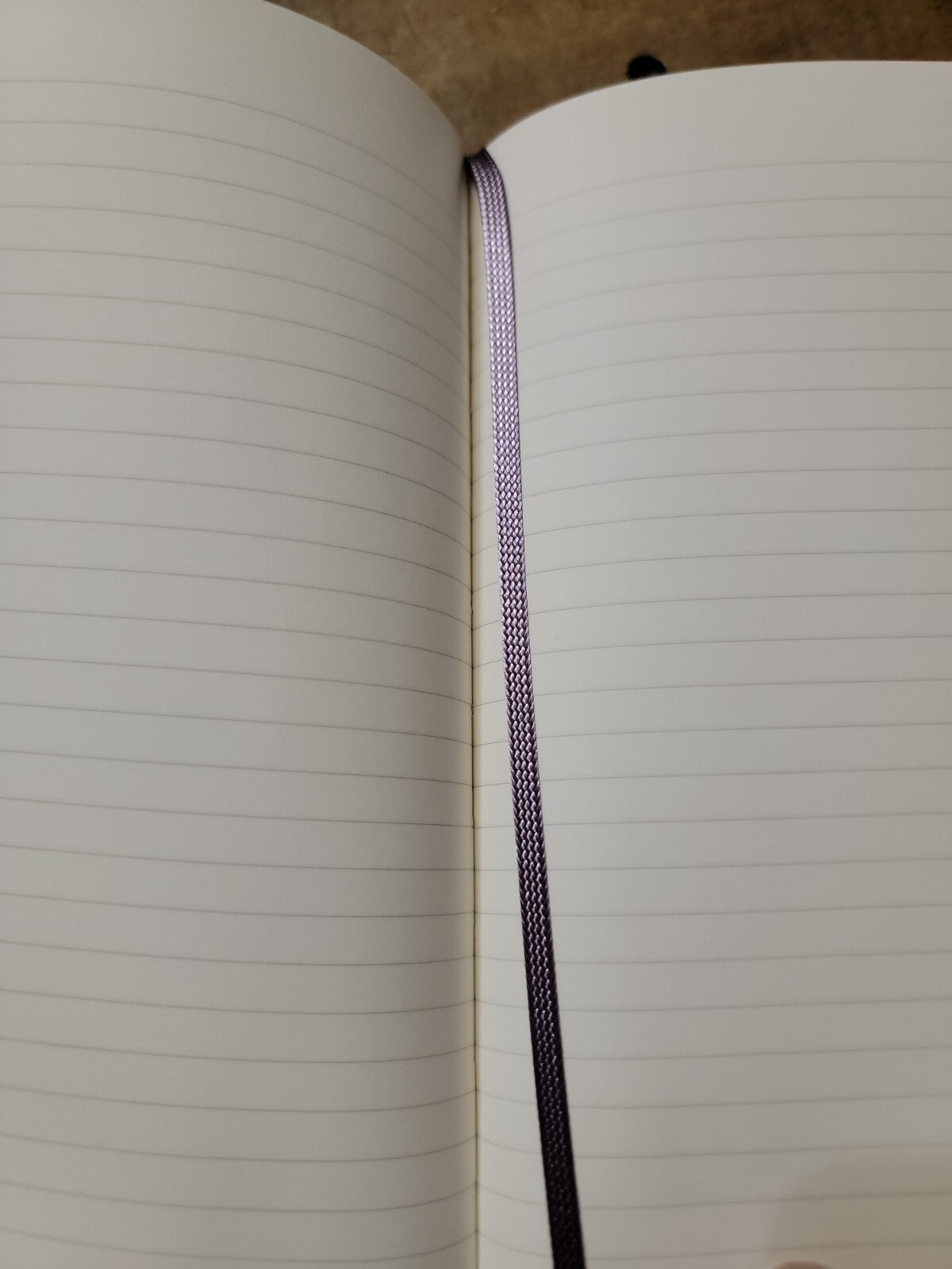 Moleskine Classic Hardcover Journal Custom UV Printed Fantasy Fairy Dragon
